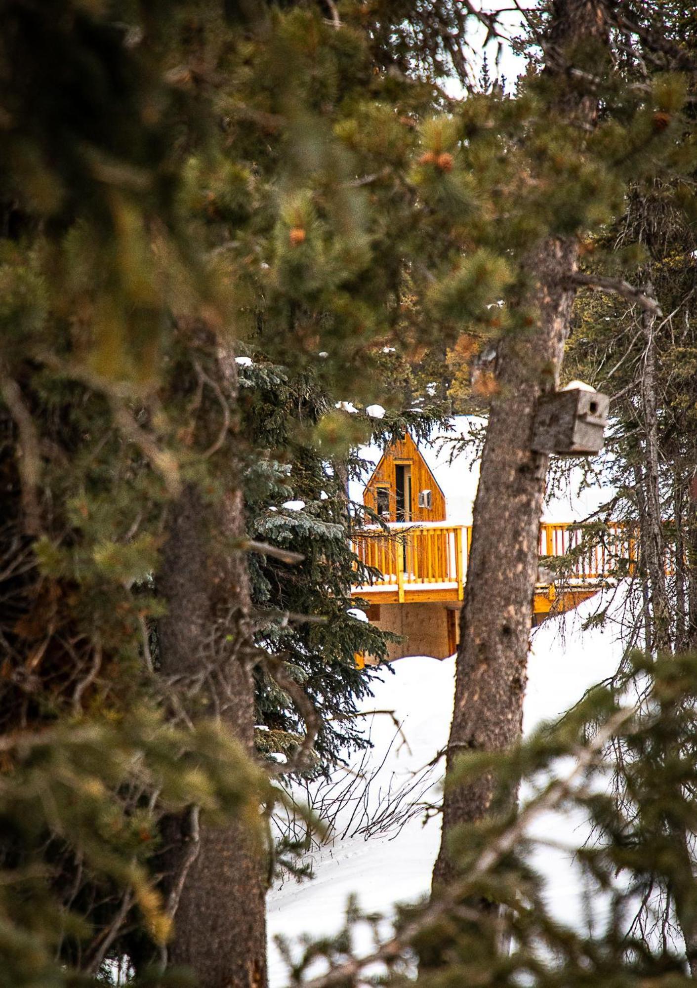 Mount Engadine Lodge Kananaskis Extérieur photo